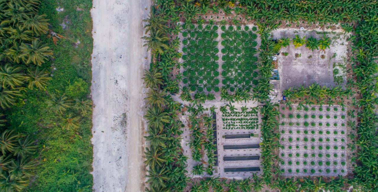 Sunview Residence Kaashidhoo Eksteriør bilde