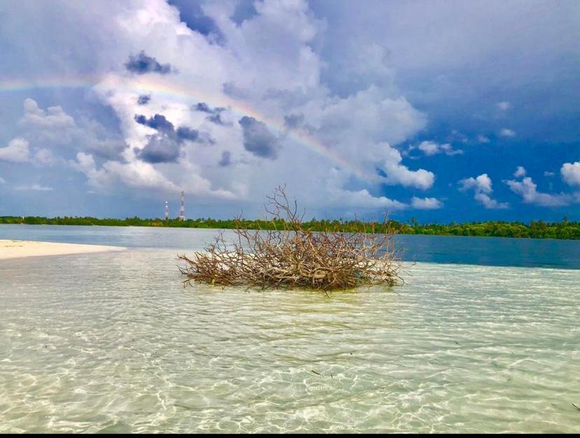 Sunview Residence Kaashidhoo Eksteriør bilde