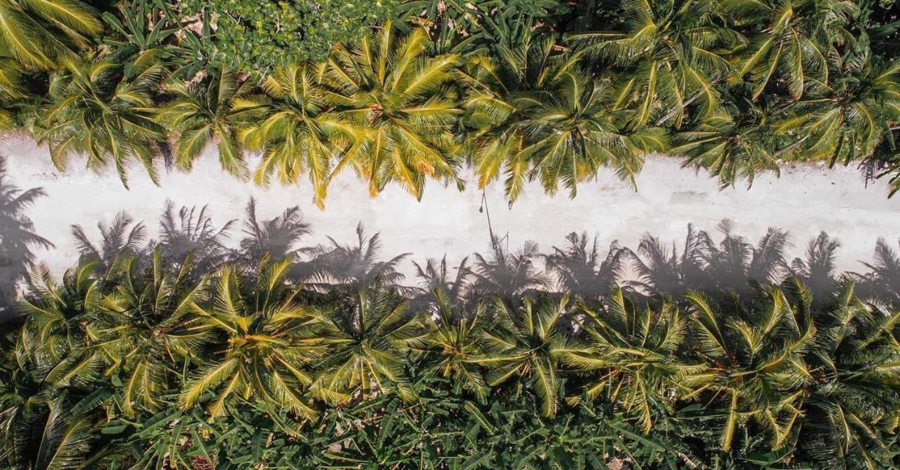Sunview Residence Kaashidhoo Eksteriør bilde